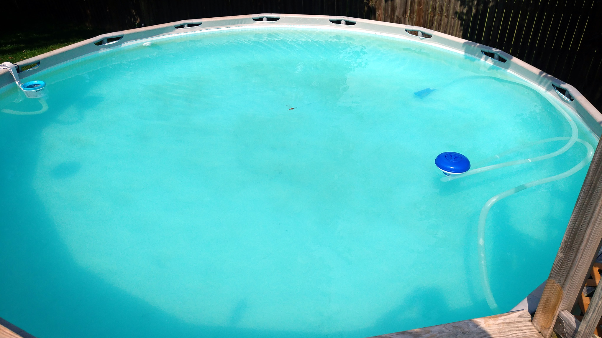 how to get my pool clear again